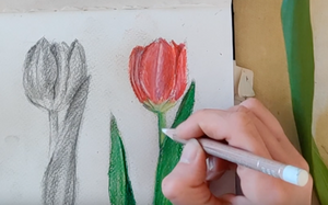 Let's draw Tulips! Dessinons des tulipes!-Atelier Toriko