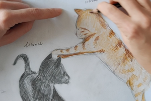 Les Chatons - The Kittens : 